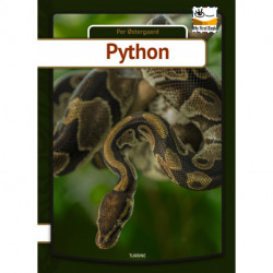 Python