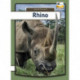Rhino