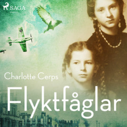 Flyktfåglar