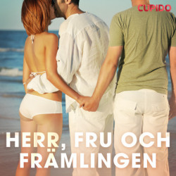 Herr, fru och främlingen