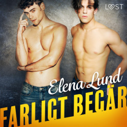 Farligt begär - erotisk novell