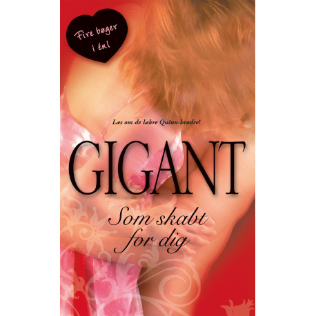 Quinn-sagaen: Liam / Quinn-sagaen: Brian / Quinn-sagaen: Sean / Farlig weekend