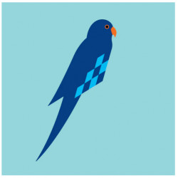 Flet-selv-fugl Parakit