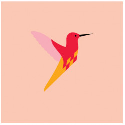 Flet-selv-fugl Kolibri Rød