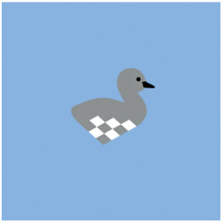 Flet-selv-fugl Svaneunge