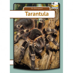 Tarantula