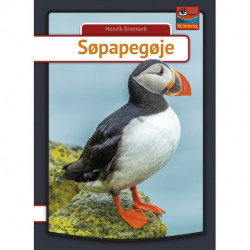 Søpapegøje