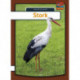 Stork