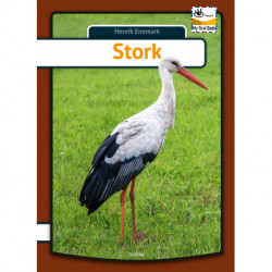 Stork