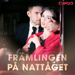 Främlingen på nattåget