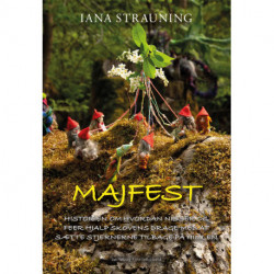 Majfest: Historien om, hvordan nisser og feer hjalp Skovens Drage  med at sætte stjernerne tilbage på himlen