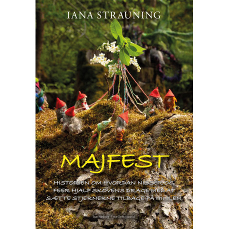 Majfest: Historien om, hvordan nisser og feer hjalp Skovens Drage  med at sætte stjernerne tilbage på himlen