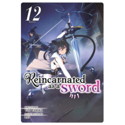 Reincarnated as a Sword (Light Novel) Vol. 12