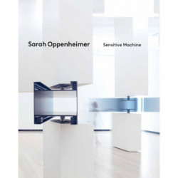 Sarah Oppenheimer: Sensitive Machine