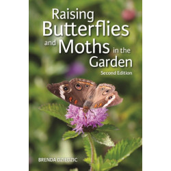 Raising Butterflies and Moths in the Garden