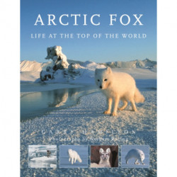 Arctic Fox: Life at the Top of the World
