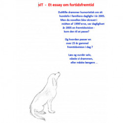sIT: Essay