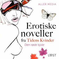Den røde kjole – erotiske noveller fra Tidens kvinder