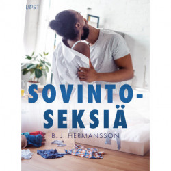 Sovintoseksiä – eroottinen novelli