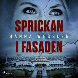 Sprickan i fasaden