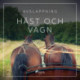 Avslappning - Häst och vagn