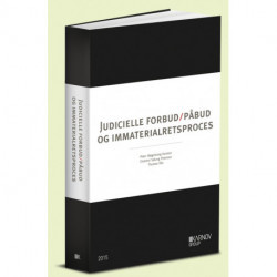 Judicielle forbud/påbud og immaterialretsproces