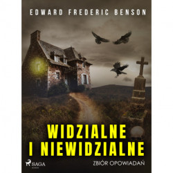 Widzialne i niewidzialne. Zbiór opowiadań