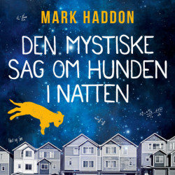 Den mystiske sag om hunden i natten
