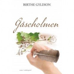 Gåseholmen: Korte fortællinger fra et kendt sted