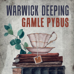 Gamle Pybus