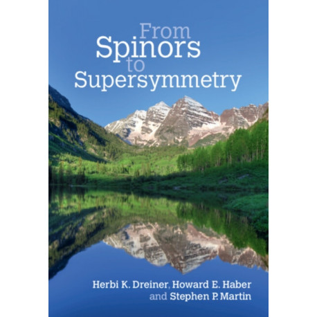 From Spinors to Supersymmetry