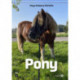 Pony