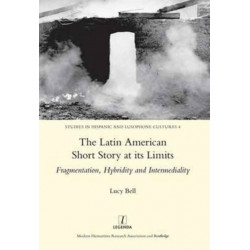 The Latin American Short Story at its Limits: Fragmentation, Hybridity and Intermediality