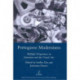Portuguese Modernisms: Multiple Perspectives in Literature and the Visual Arts