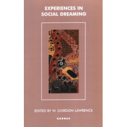 Experiences in Social Dreaming