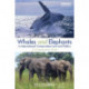 Whales and Elephants in International Conservation Law and Politics: A Comparative Study