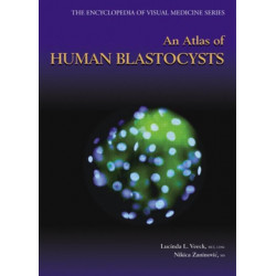 An Atlas of Human Blastocysts