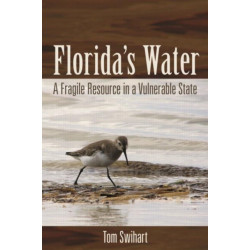 Florida's Water: A Fragile Resource in a Vulnerable State
