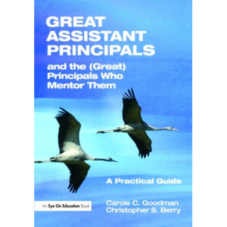 Great Assistant Principals and the (Great) Principals Who Mentor Them: A Practical Guide