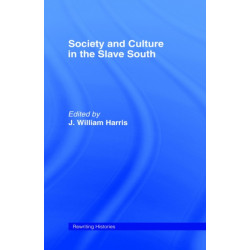 Society and Culture in the Slave South