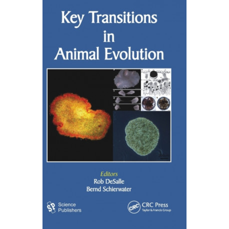 Key Transitions in Animal Evolution