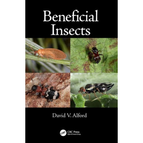 Beneficial Insects