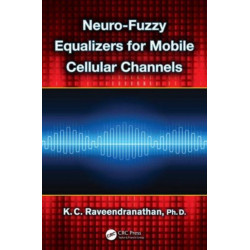 Neuro-Fuzzy Equalizers for Mobile Cellular Channels