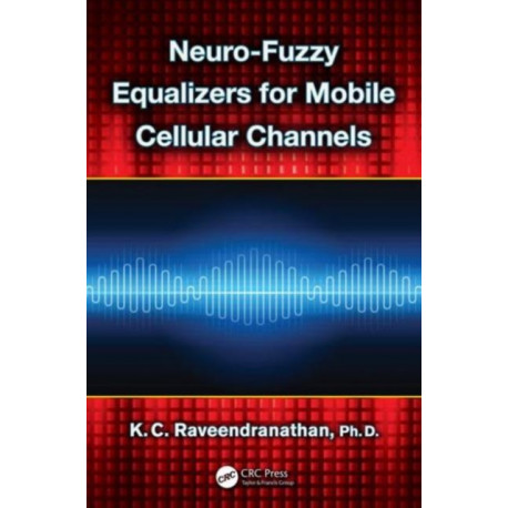Neuro-Fuzzy Equalizers for Mobile Cellular Channels