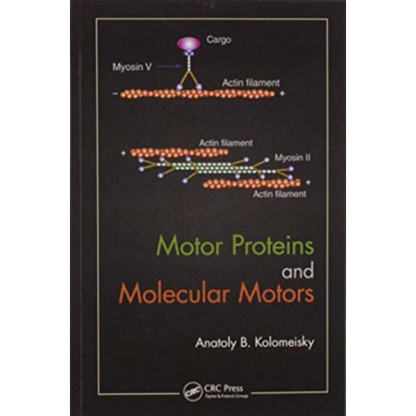 Motor Proteins and Molecular Motors