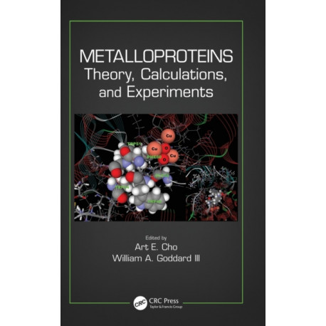 Metalloproteins: Theory, Calculations, and Experiments