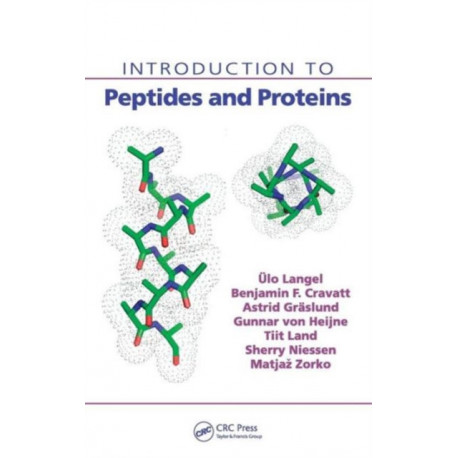 Introduction to Peptides and Proteins