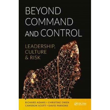 Beyond Command and Control: Leadership, Culture and Risk