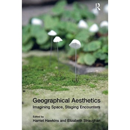 Geographical Aesthetics: Imagining Space, Staging Encounters
