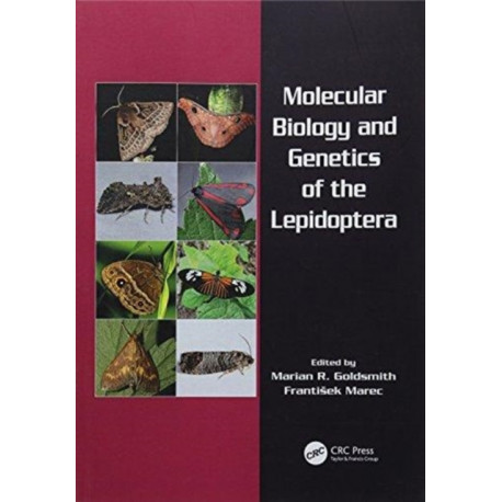 Molecular Biology and Genetics of the Lepidoptera